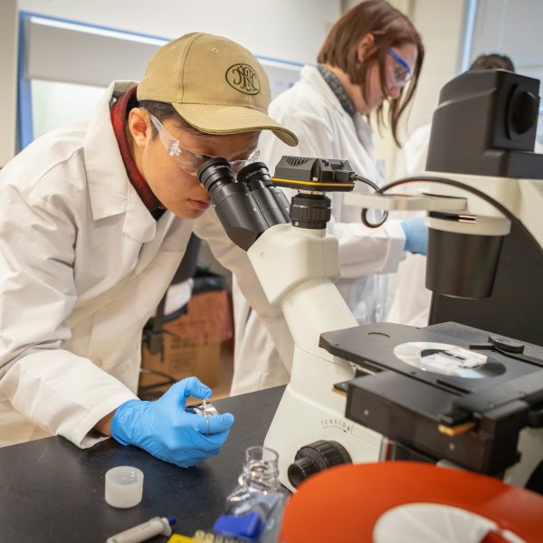 biomedical engineering